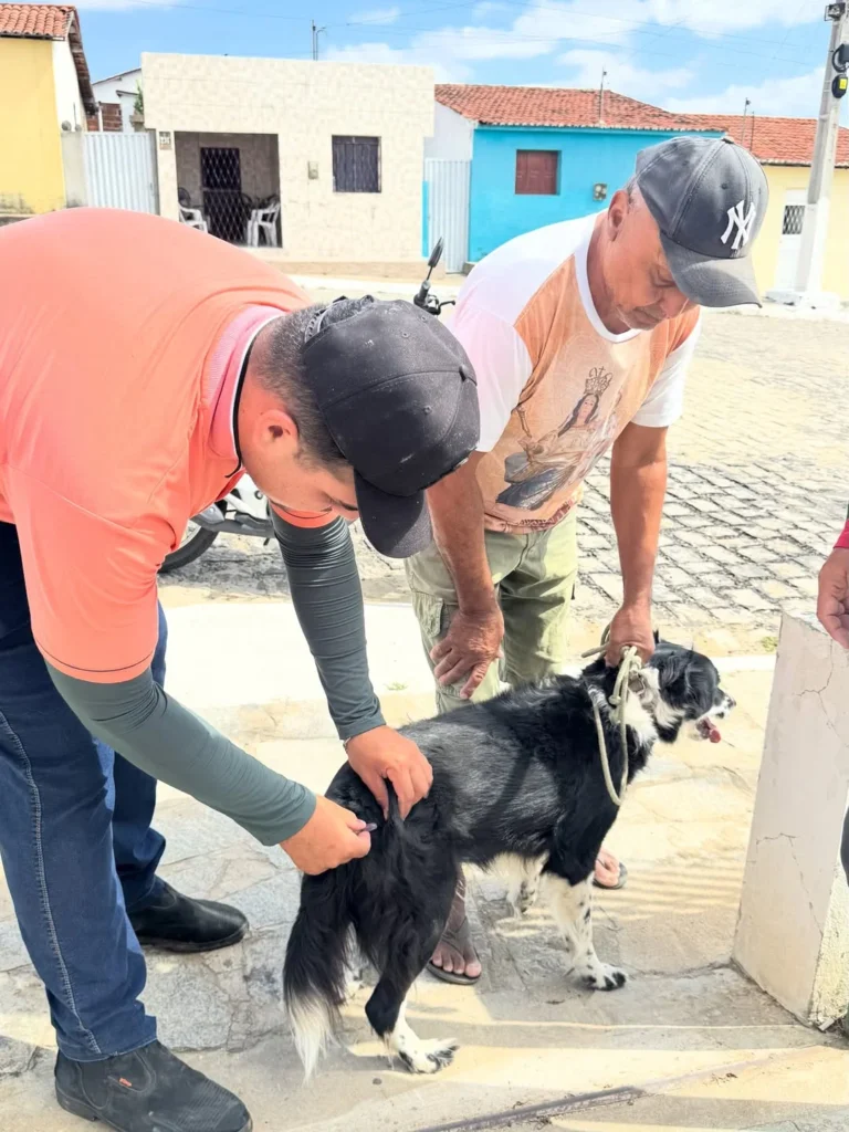São João do Cariri realiza Dia D de Vacinação Antirrábica