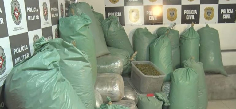 Polícia apreende quase meia tonelada de maconha após operação em JP e Bayeux