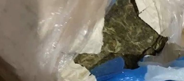 PM prende homem com um quilo de “super maconha” no Terminal Rodoviário de Patos