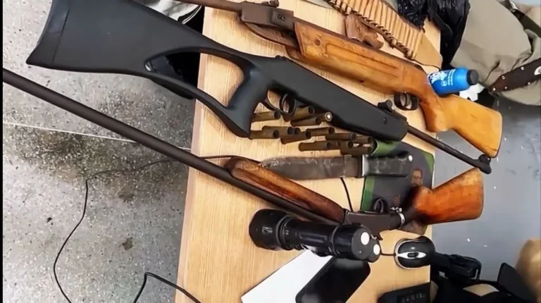 Homem suspeito de atirar em cachorro é preso em flagrante com três armas de fogo em Boa Vista/PB