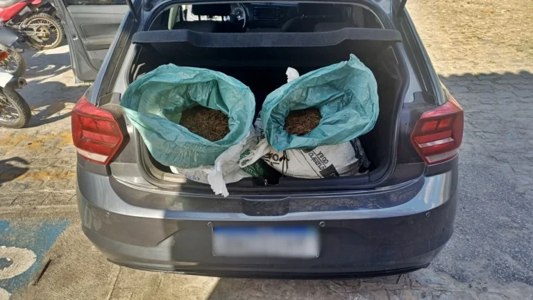 NO CARIRI: Homem é preso por transportar 19 kg de maconha na BR-412