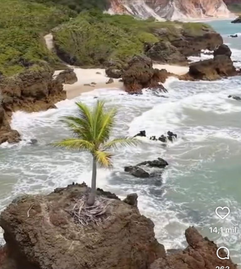 Vídeo: mídia nacional destaca belezas naturais da praia de Tambaba, na cidade do Conde, na Paraíba