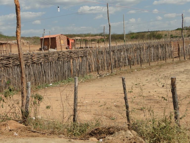 Inmet alerta para clima extremamente seco em mais de 100 cidades da Paraíba