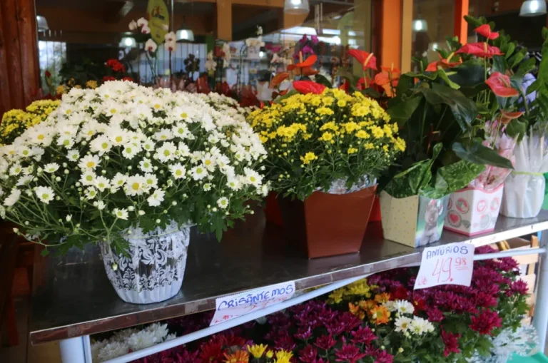 Número de óbitos aumenta quase 7% na Paraíba; aponta IBGE