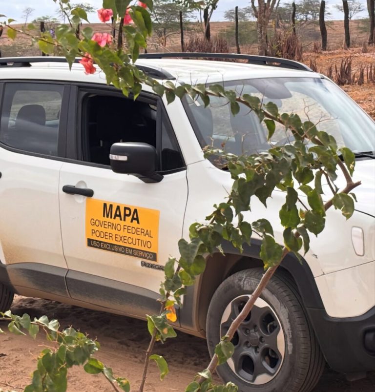 Em Taperoá: fazenda Carnaúba critica burocracia após investigação do Ministério da Agricultura