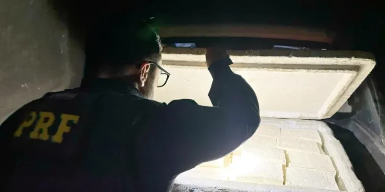 Carga de queijo que seria vendida em Sumé é apreendida em Sertânia pela PRF