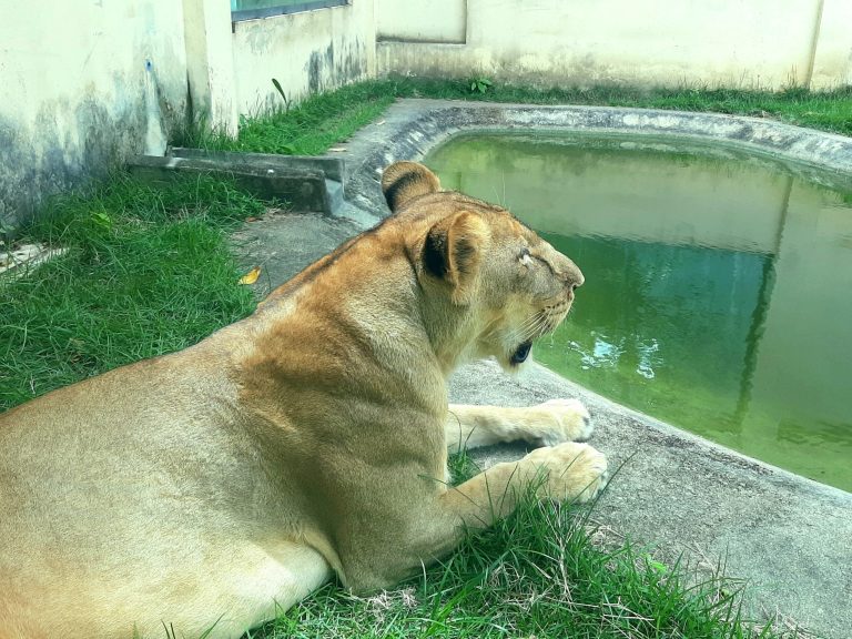 Prefeitura de João Pessoa revela que invasão à Bica que resultou na morte de jovem ocorreu durante a madrugada