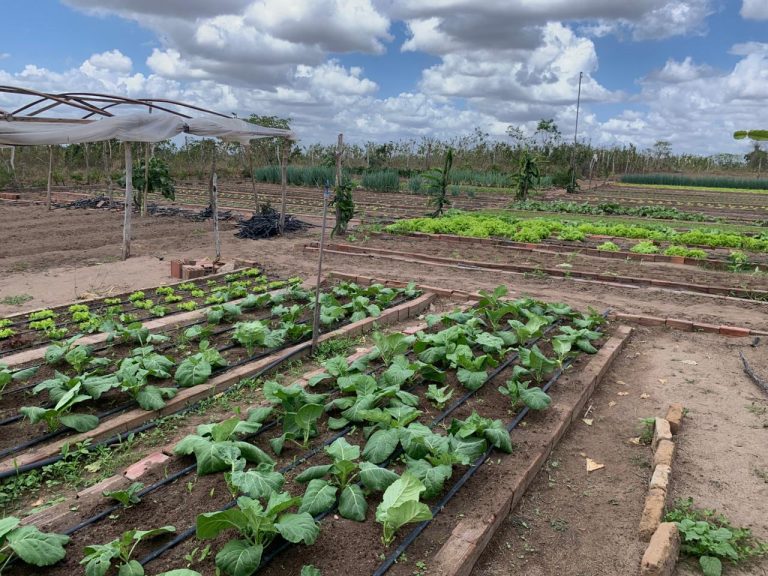 Prefeitura de Lagoa de Dentro firma parceria com a Caixa e garante mais de R$ 5 milhões em crédito para agricultores