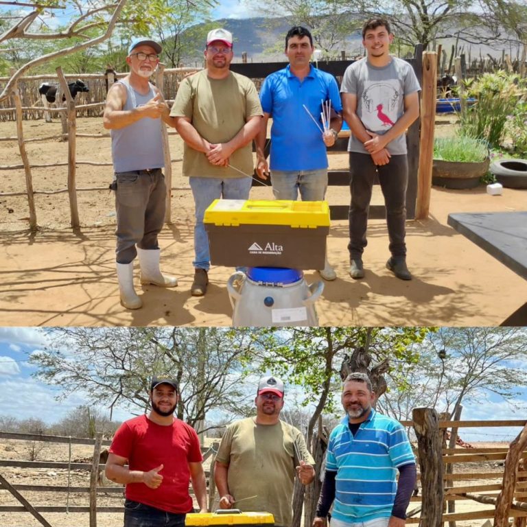 Prefeitura de São José dos Cordeiros alcança resultados acima da média nacional com programa de inseminação artificial