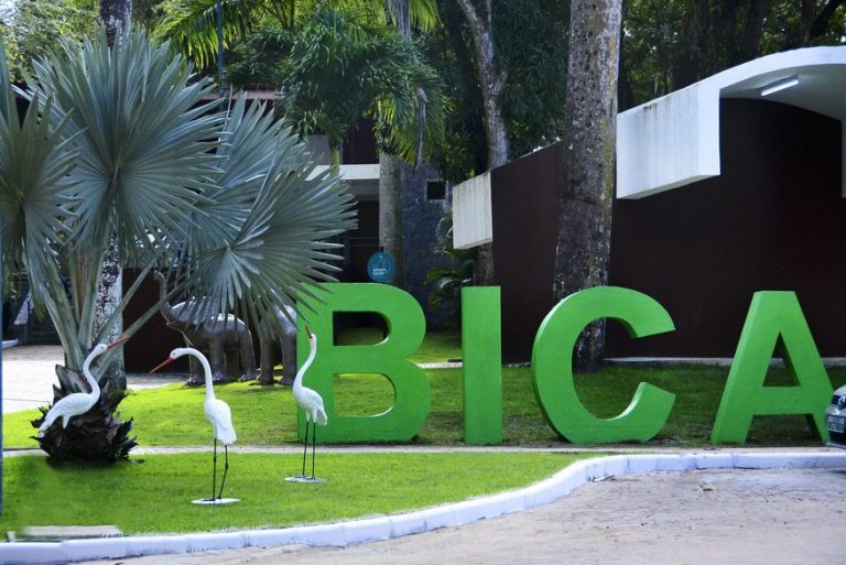 Bica será reaberta nos próximos 10 dias; Ibama fará vistoria no parque
