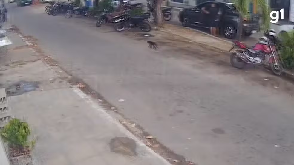 Imagens mostram empresário da Paraíba antes de ser encontrado morto no RN