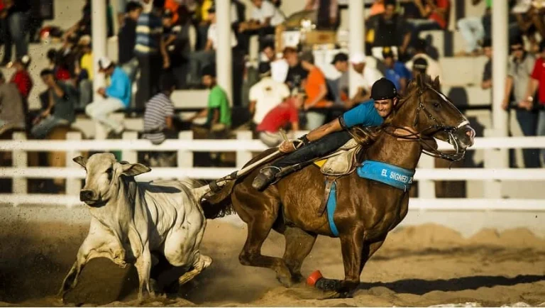 Prefeitura de Amparo oficializa Circuito Municipal de Vaquejada e reforça compromisso com a cultura local