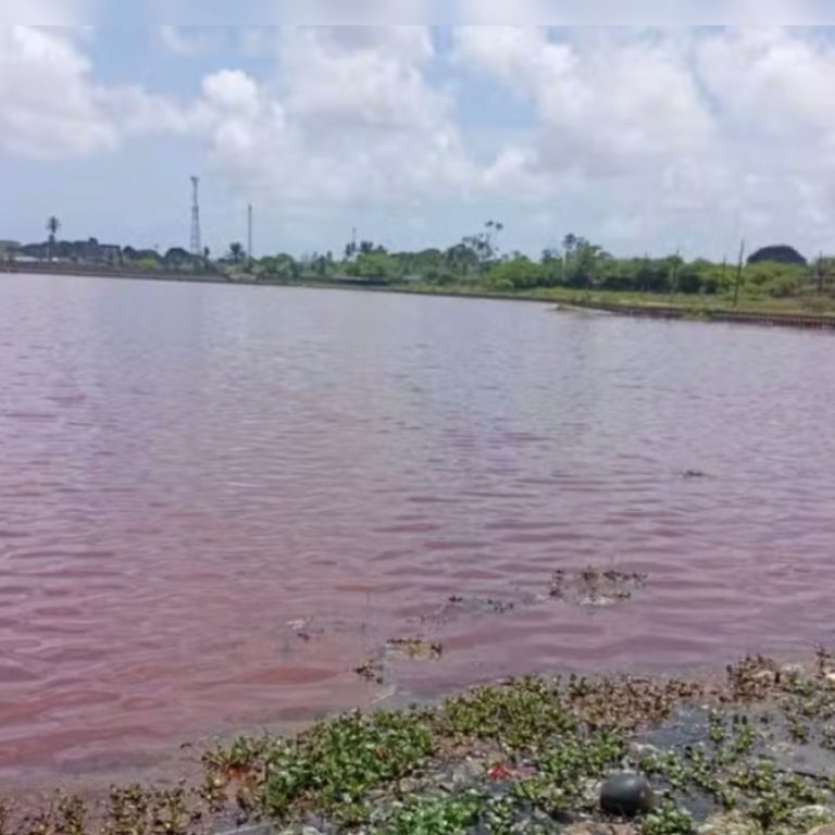 Prefeitura de João Pessoa notifica Cagepa e Sudema por suposta poluição ambiental nas Três Lagoas